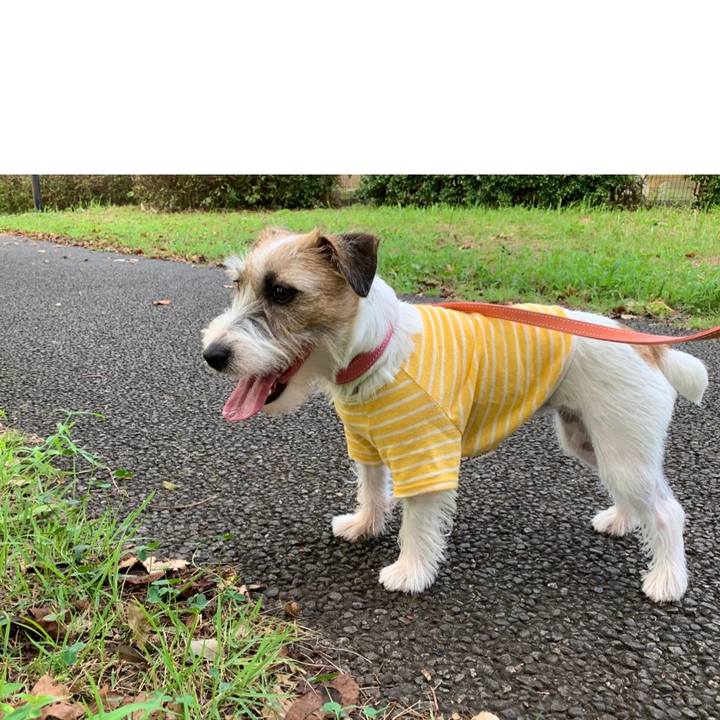 37a9dd67 03c3 48f9 a687 9cc8d166a044 1599818173226