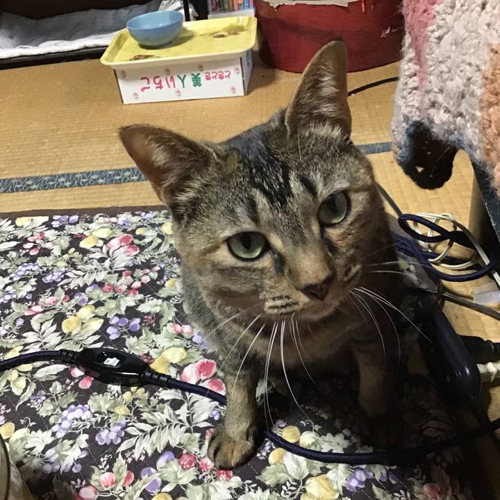 37a9e1d1 2594 438e 9920 92a3c957f36e 1654505905855