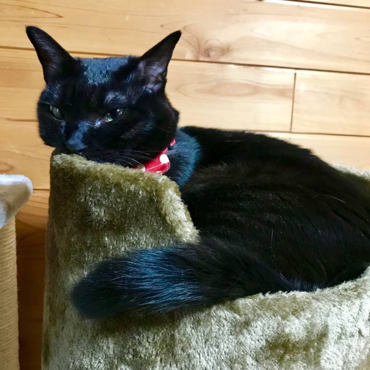 37aa06ac fd9e 4ff9 94cc 31742309adae 1517876507174