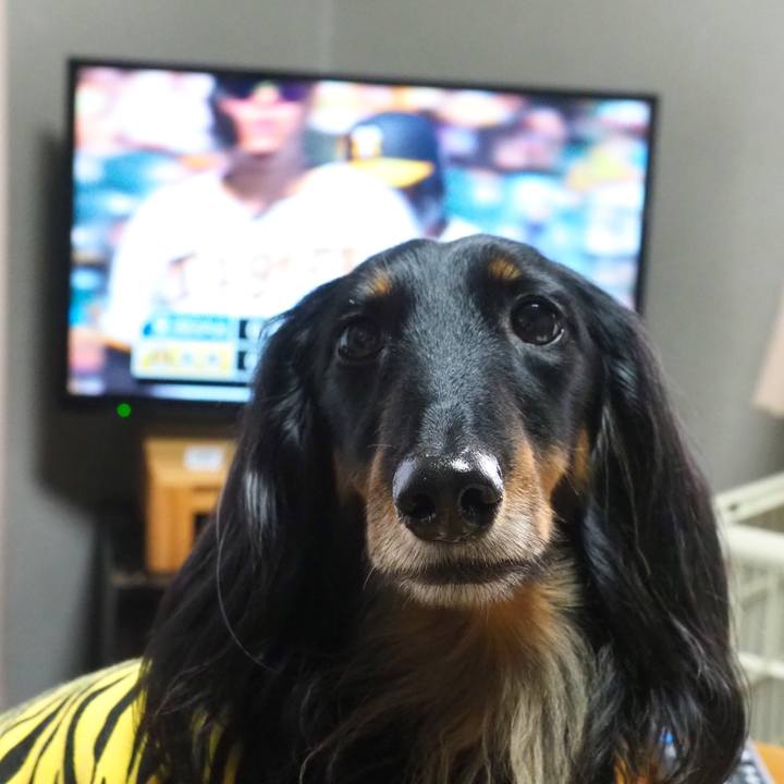 37aa1889 3d95 4ee2 afd7 5270ae4d0742 1654324301923