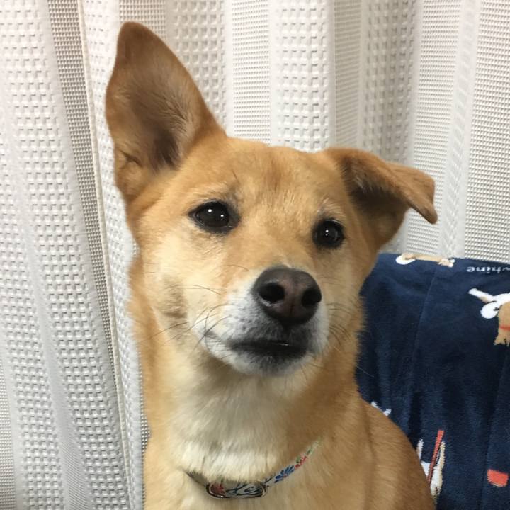 37aa1b9e 2e85 41b1 bb46 91d2ed4a43d7 1551277828773