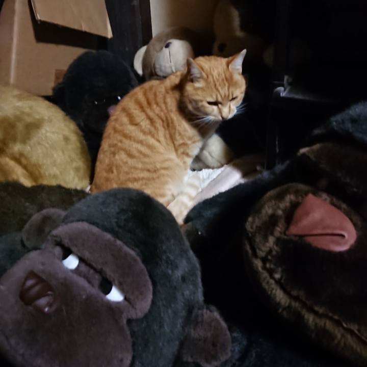 37aa3317 f383 42a1 80e0 1fd2ee621600 1607508475685