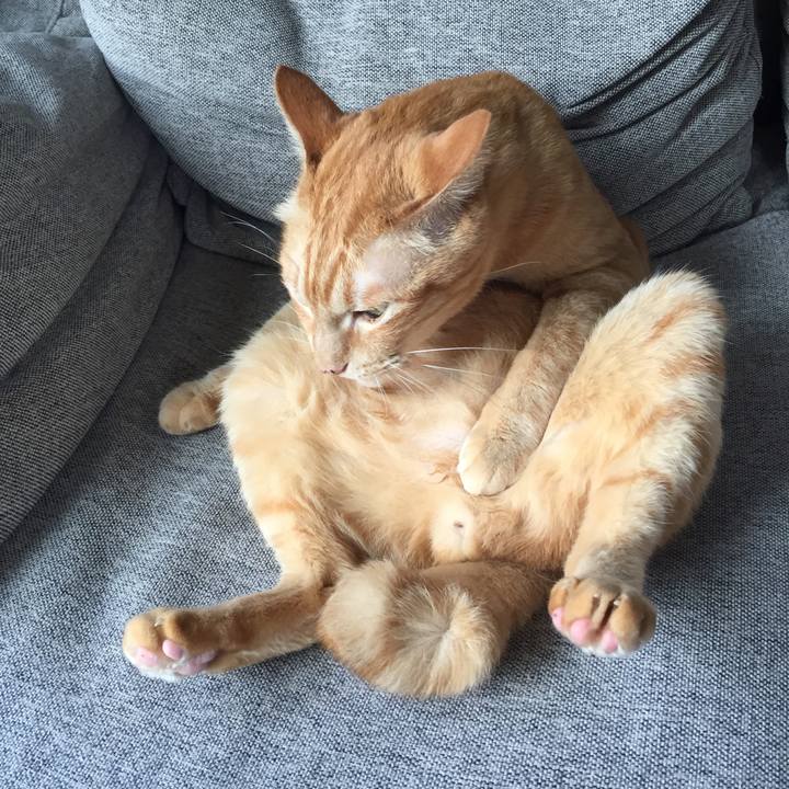 37aa9a7a 32c4 48e2 8c1e 8d6ad790ac1e 1535669371305