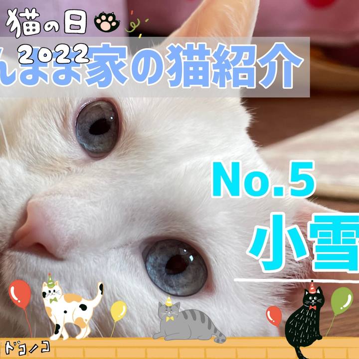 37aaa535 46da 4898 a964 c7b956e85865 1645503137446