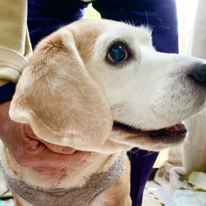 37aac0b2 f557 4ae9 ac04 a253dfde38e2 1643090917685