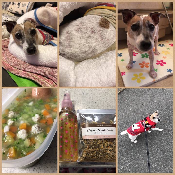 37ab4d53 05fc 4fd9 b534 0111dec08330 1510451098027