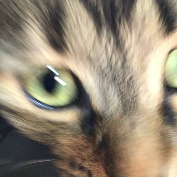 37ab7ae8 3459 4809 bff2 e3d60c857612 1611218877973