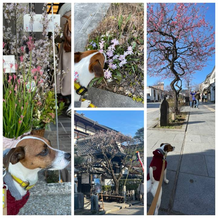 37abb0a5 1a78 41aa 844c 8d426bece1d2 1648888661821