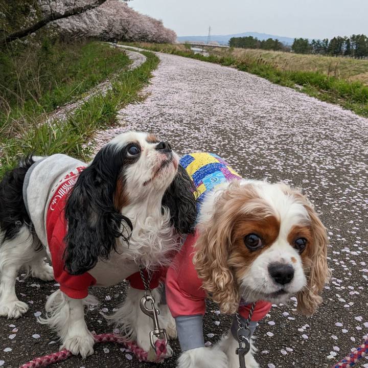 37abebf4 82da 4ac1 be38 c335e17355a7 1683100015206