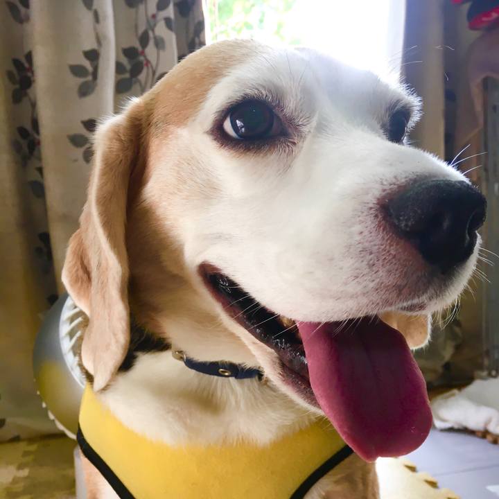 37abf0e0 7ef7 4dde bb75 4181b63f9173 1569996800314