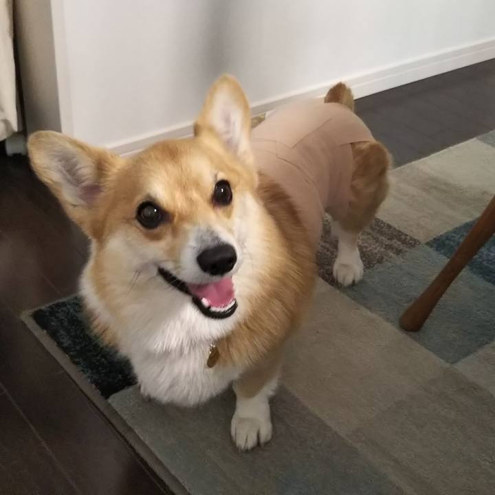 37ac1292 4038 4c0e 8d3b edf05d9a5482 1545462747932