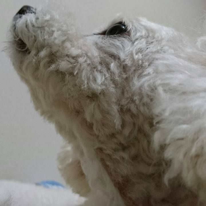 37ac14d9 f63c 4c78 892d 425b54382861 1539270606169