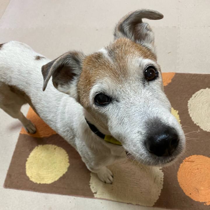 37ac18cb 6aed 40e0 86d5 d7b39b258852 1608244237796