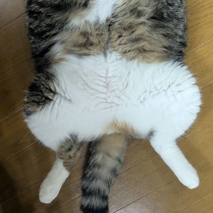 37ac49fd 111b 470c 894b 8a2d9d53c443 1752238495002