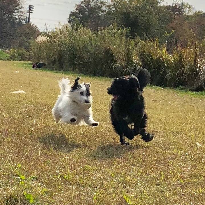 37ac4e79 567f 4ce3 840c f53bd952b173 1542754947636