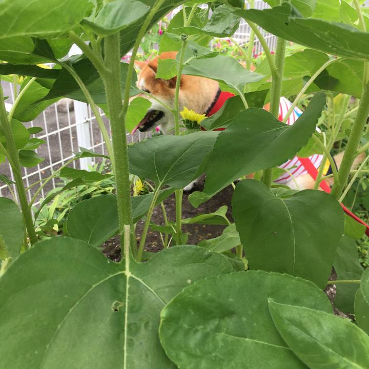 37ac5184 4514 4314 b891 66bc82e432a2 1595560733044