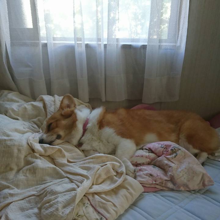 37ac5bc0 ff6c 48f1 93d5 6dc974bd79a7 1508294420070