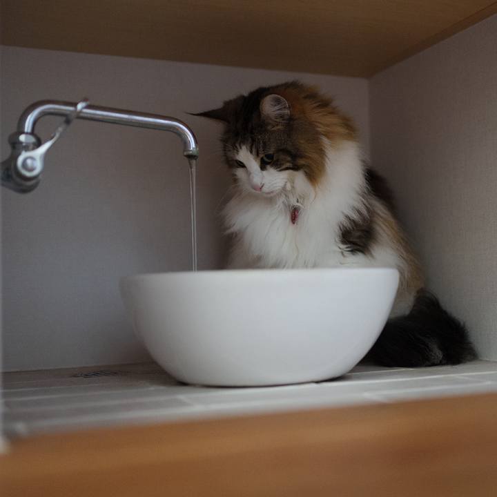 37ac6664 e4f5 4185 b9a9 981db2b7dc4c 1719399975632