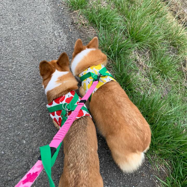 37ac86da 3958 4705 9eb2 457d0a8c6ec2 1616904730400