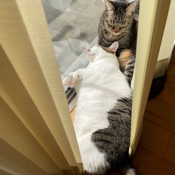 37ac9357 f71c 41ac a5f9 06ecb205afcd 1764644142865