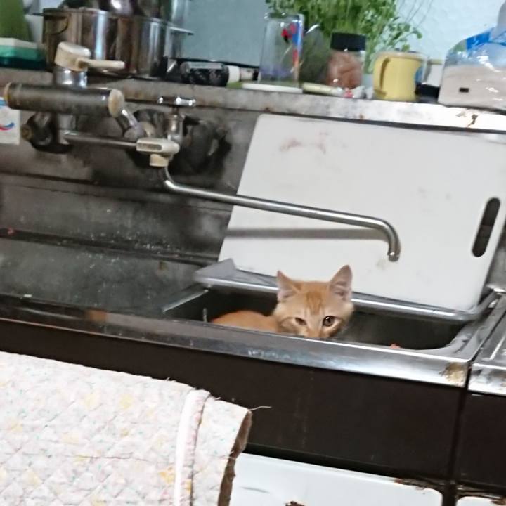 37ac9a4c 18d2 483a 9829 1313f285b67a 1631219959444