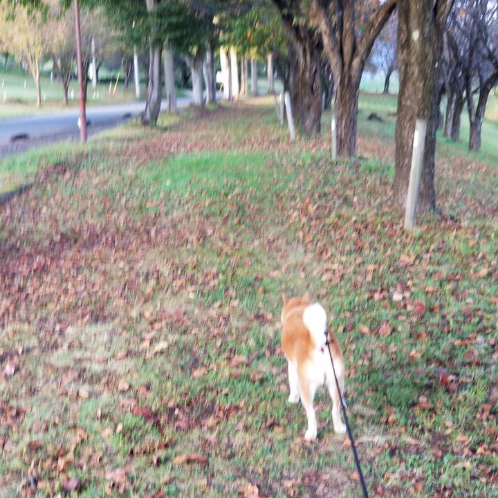 37acbb25 a23c 4010 bc6f c4b877cf6b34 1633420000725