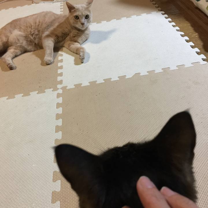 37accb29 862e 4a2f a8e6 339d2ae6aff6 1533553984168