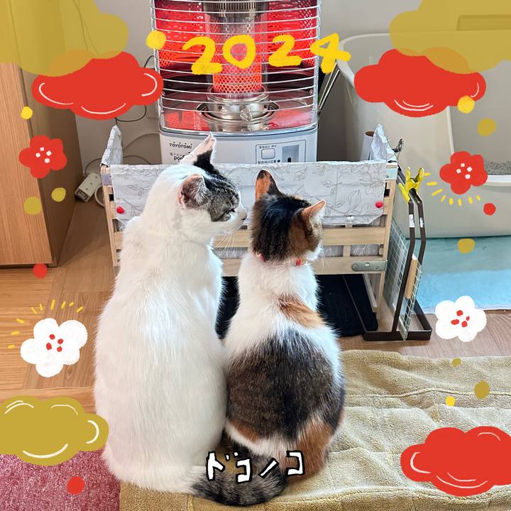 37ace68d 689a 4d70 9b2a e4e99f819966 1704075035155