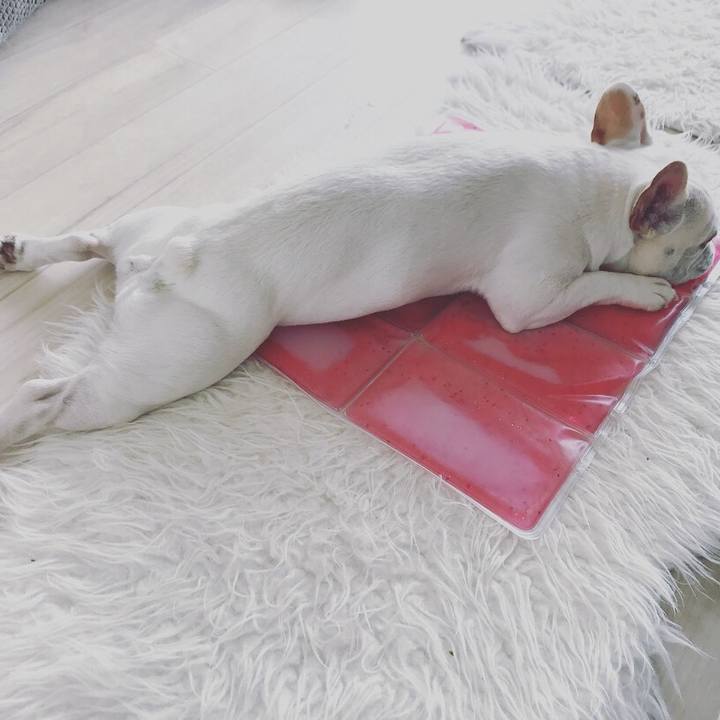 37ace83d 3596 4e8b be15 9b989414b58e 1524276052592