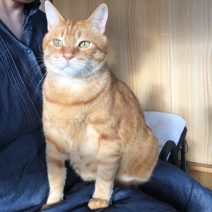 37ad886e 9978 4b6d a896 ec2e435adbf9 1618349138549