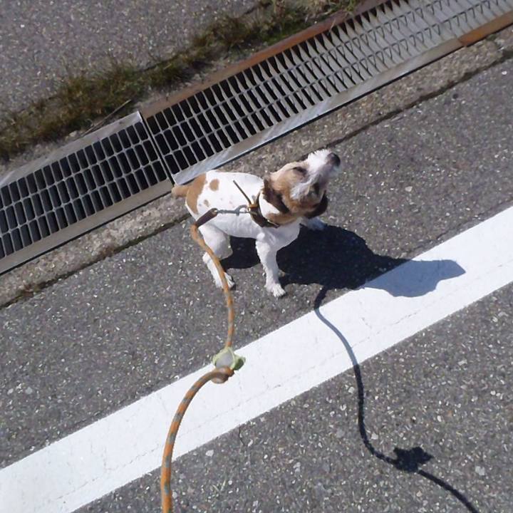 37ad8919 1b50 40c1 97f4 c136f0f9ba5d 1526096253783