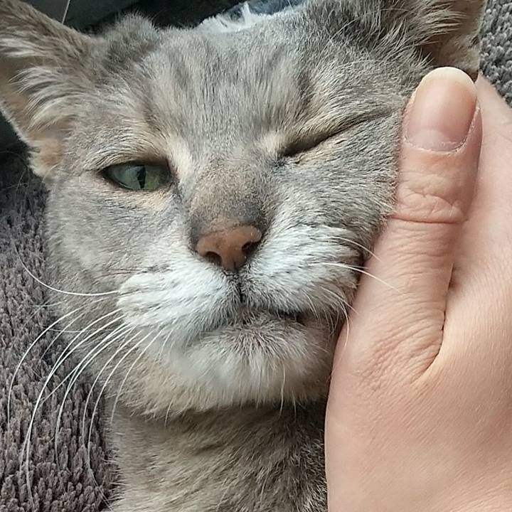 37ada9aa 4ac8 4bc9 b333 708a1b4755cd 1683955383928