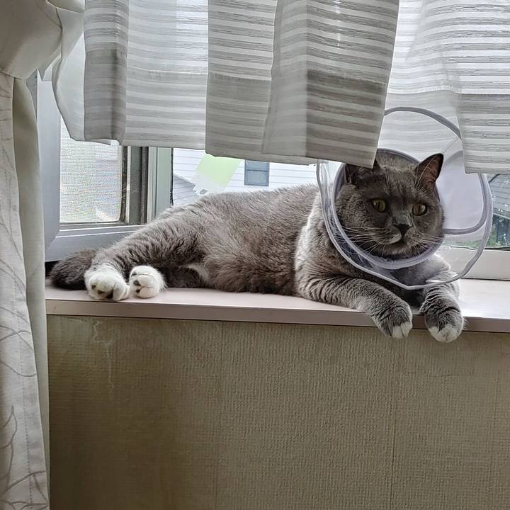 37adb836 c036 4e40 9dc1 b363e92040c6 1630811320388