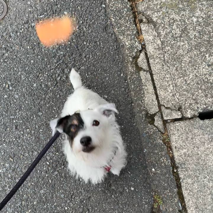 37adc7ca 5f45 4bdc b0b7 5aa5d9ba9b70 1690929248442