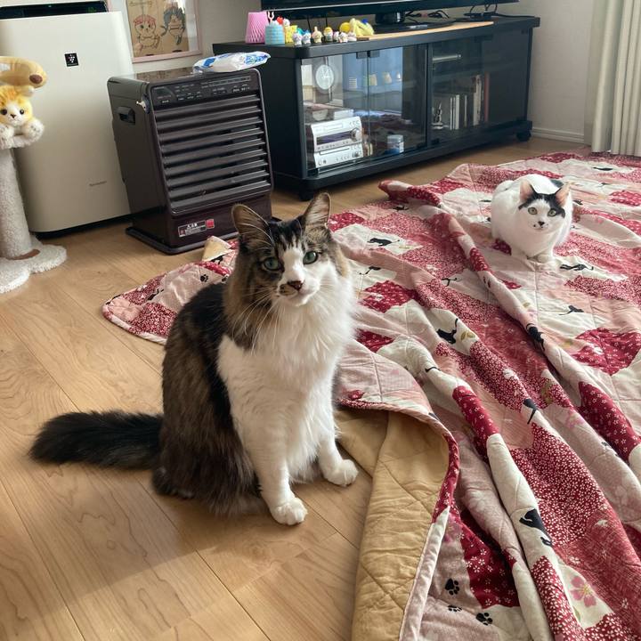 37ae05d7 2314 4488 97a1 48f658177833 1767074902247