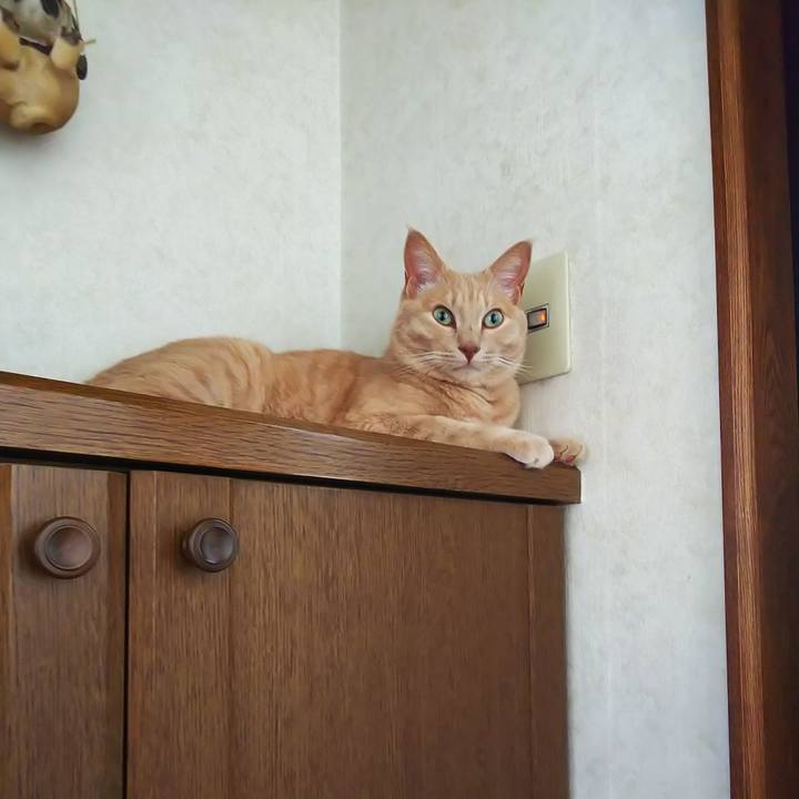 37ae44c8 de49 4954 a897 57691df1eed6 1660374020638