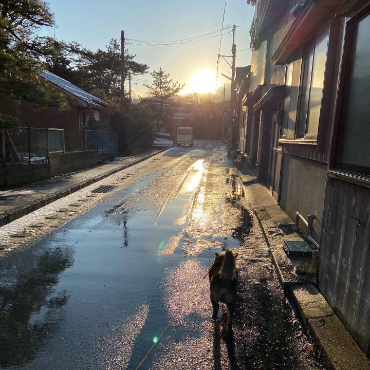 37ae5931 e188 4273 8f34 f4b28ee901db 1612916761716