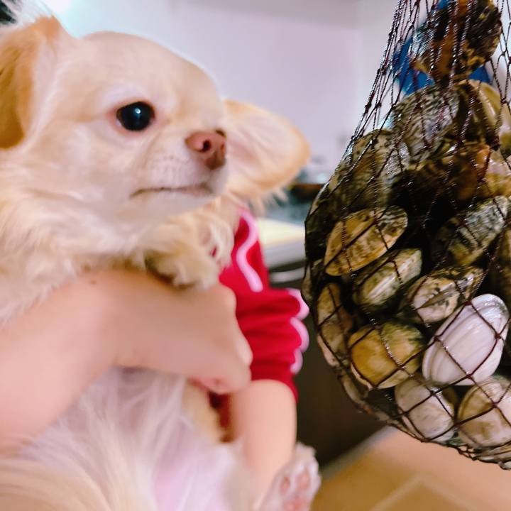 37ae733b 5150 4306 a861 fd2e6fdced22 1651837730878