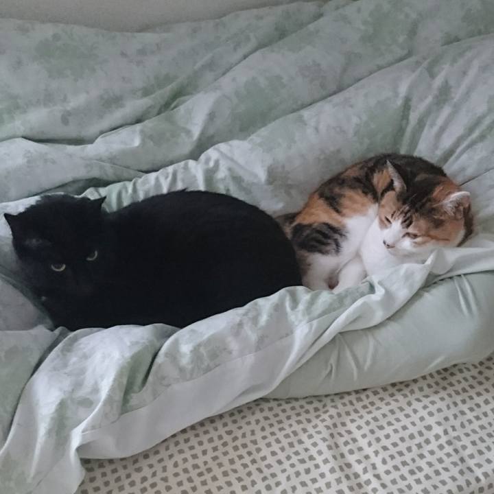 37ae83ea 8963 45a1 b804 e516b6601105 1534545114874