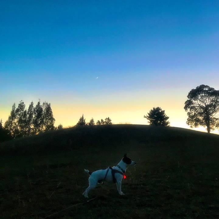 37aeb4e4 3012 42f0 ad22 588447cd37d1 1511264874186