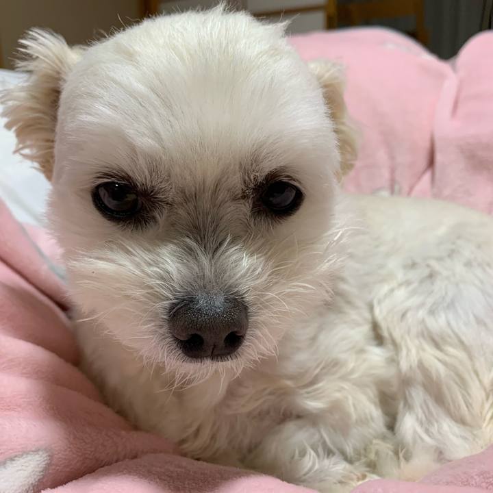 37aee4a5 8ff7 4a49 9efa 7bb30dc93395 1648984559524