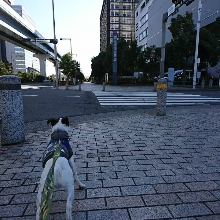 37af3d3c 2277 4277 90a2 81cb1ae2554c 1514955639547