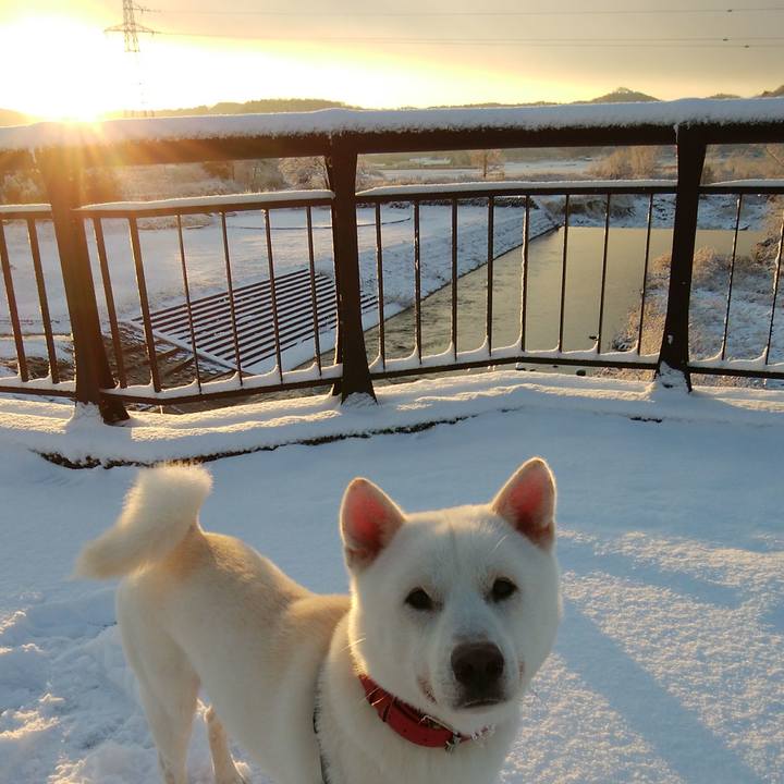 37af8be7 d3d8 474d afd0 9e4fab7f5b35 1608346509900