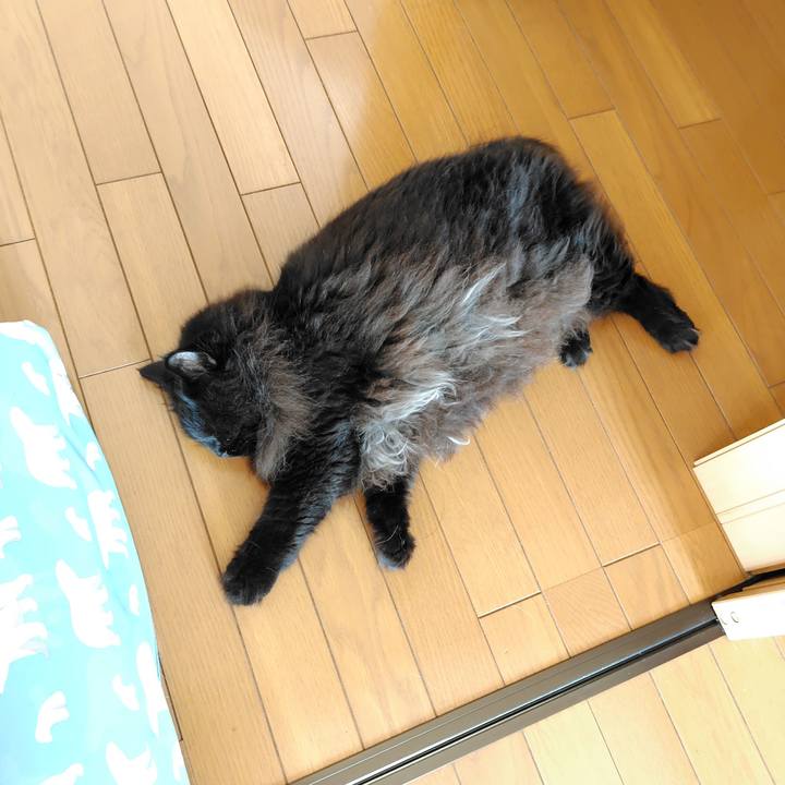 37af97e0 ce6d 41b2 a9e2 b88c50c73c00 1725251759027