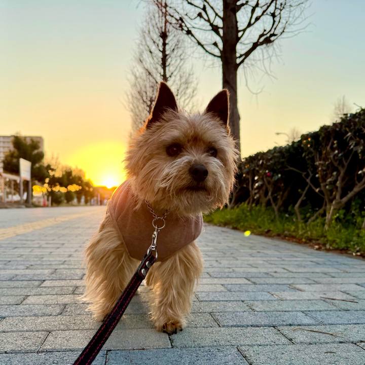 37afb272 2b7d 4f84 b504 71d22fa3d197 1773653350772