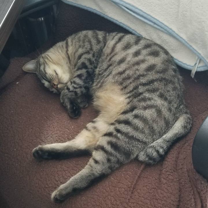 37afd331 28ee 4c23 878a 9f10ee3b87e3 1690340937013