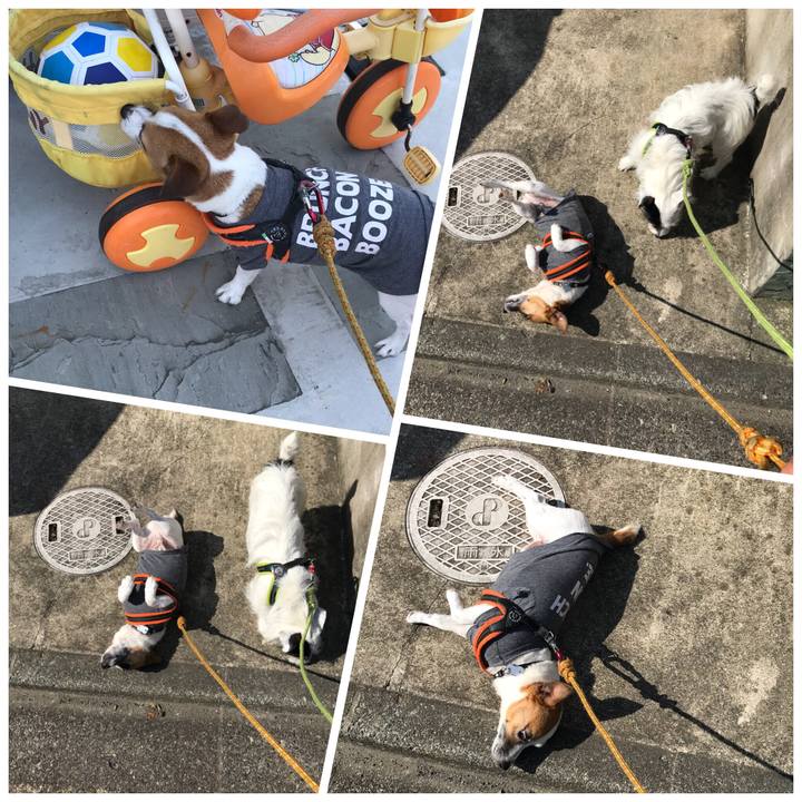 37afe9ee 61aa 43e1 850f 8e0d97a292f7 1529884475646