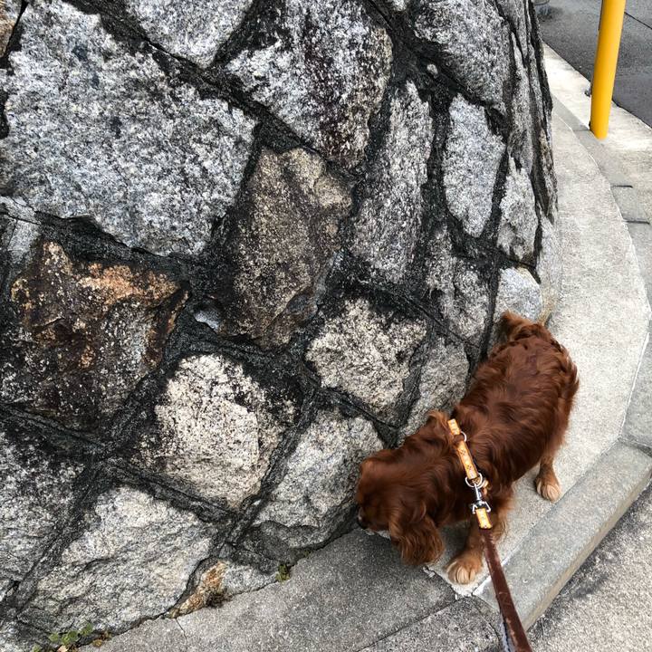 37b046d1 729e 442a a77c 6a54d6b1e5d5 1648250272472