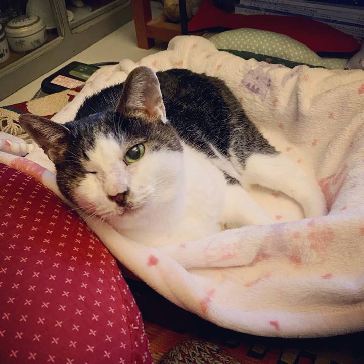 37b05628 d344 4a9b b906 b42cbaaac768 1639825966938