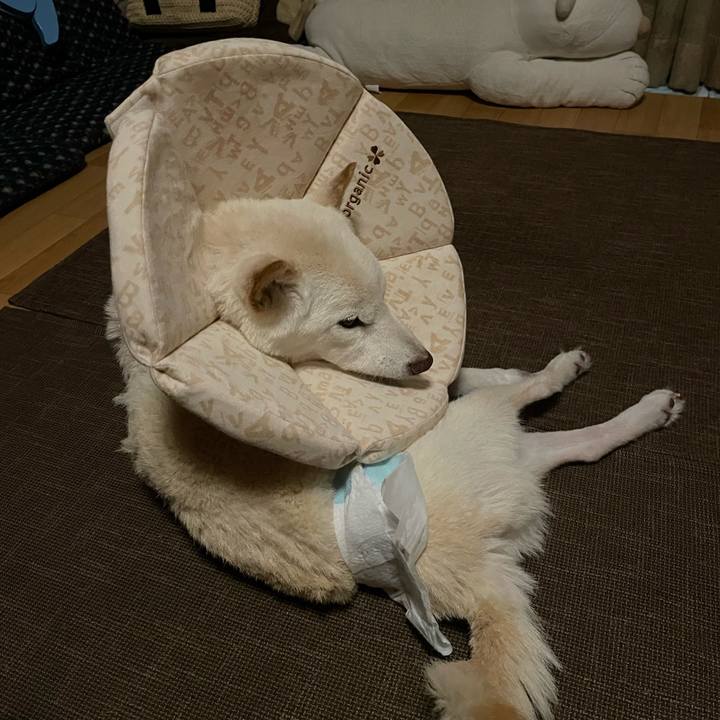 37b05f48 93e1 414b 9527 8d7911f9e5f6 1667418093823